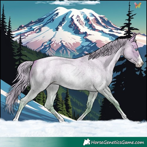 Horse Color:Gold Cream Champagne Roan Pearl 