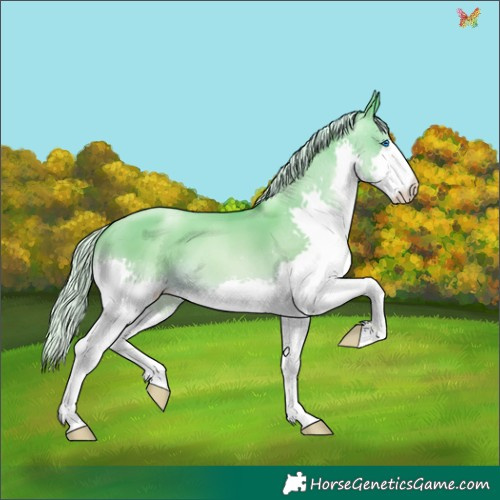 Horse Color:Silver Amber Cream Champagne Pearl Dun Splash 