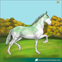 Horse Color:Silver Amber Cream Champagne Pearl Dun Splash 