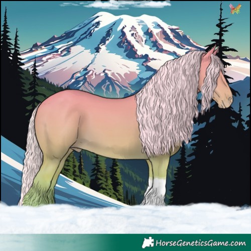 Horse Color:Silver Perlino Dun Tobiano 