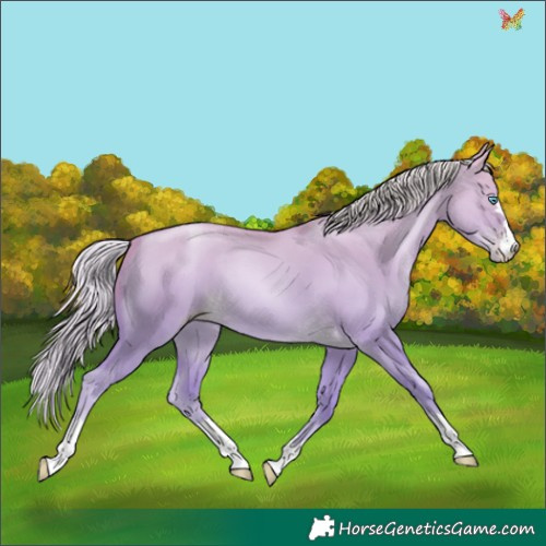 Horse Color:Silver Classic Cream Champagne Pearl Dun 