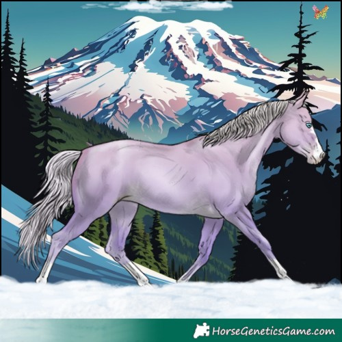 Horse Color:Silver Classic Cream Champagne Pearl Dun 