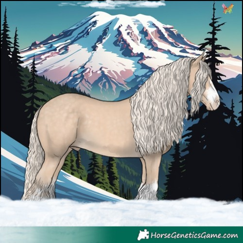 Horse Color:Cremello 