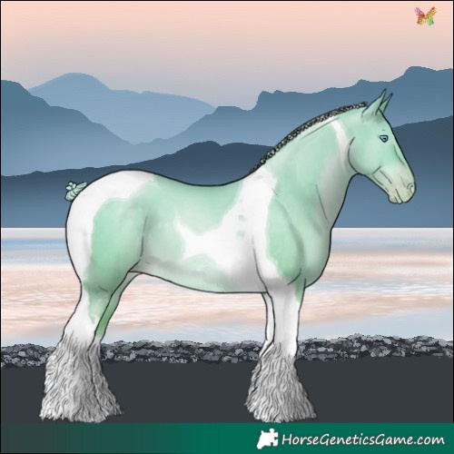 Horse Color:Palomino Pearl Dun Tobiano 