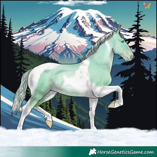 Horse Color:Palomino Pearl Dun Tobiano 
