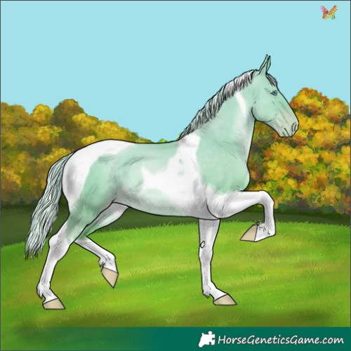Horse Color:Palomino Pearl Dun Tobiano 