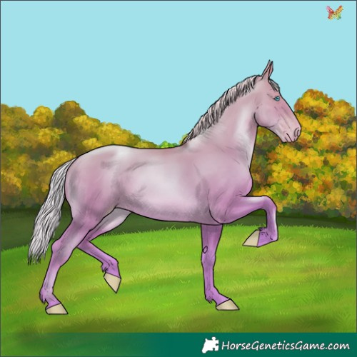 Horse Color:Silver Amber Champagne Pearl Dun