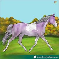 Horse Color:Silver Amber Champagne Pearl Dun Sabino Tobiano Rabicano