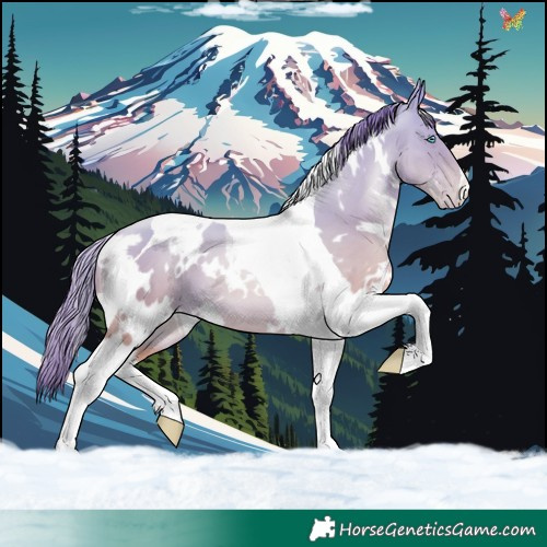 Horse Color:White Spotted Amber Cream Champagne Pearl Tobiano 