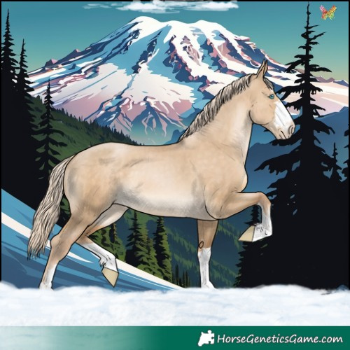 Horse Color:Chocolate Palomino Pearl Dun 