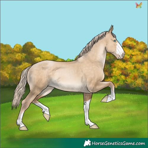Horse Color:Chocolate Palomino Pearl Dun 