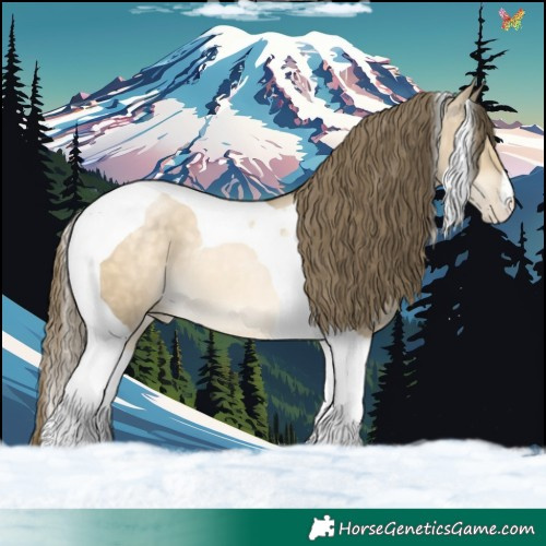 Horse Color:Buckskin Pearl Dun Tobiano 