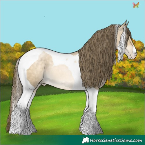 Horse Color:Buckskin Pearl Dun Tobiano 