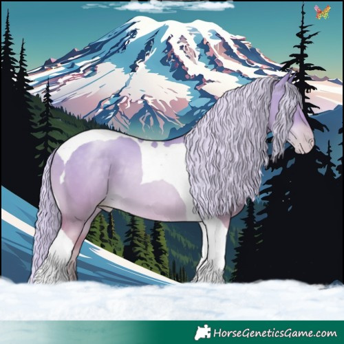 Horse Color:Palomino Pearl Dun Tobiano 