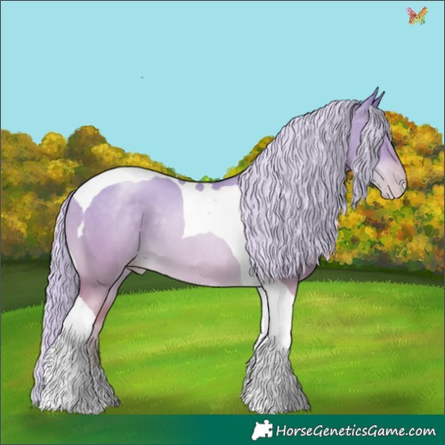 Horse Color:Palomino Pearl Dun Tobiano 