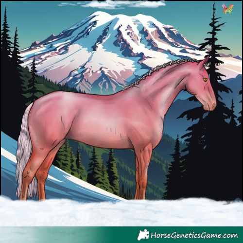 Horse Color:Silver Bay Pearl Dun