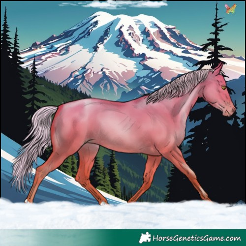 Horse Color:Silver Bay Pearl Dun 