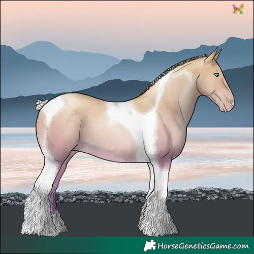 Horse Color:Silver Amber Cream Champagne Pearl Tobiano 