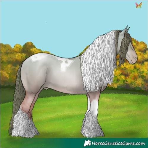 Horse Color:Gold Champagne Pearl Dun Tobiano 