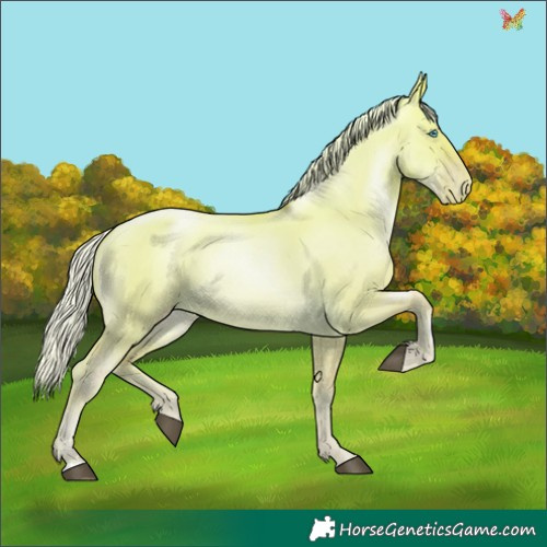 Horse Color:Silver Buckskin Pearl Dun 