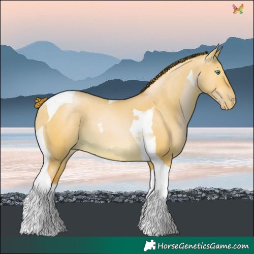 Horse Color:Smoky Grullo Pearl Tobiano 