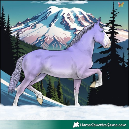 Horse Color:Cremello Dun 