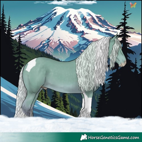 Horse Color:Silver Perlino Tobiano 
