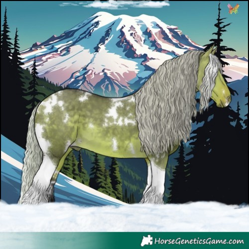 Horse Color:White Spotted Silver Buckskin Dun Tobiano 