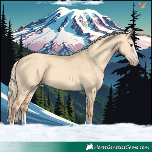 Horse Color:Gold Cream Champagne Dun 