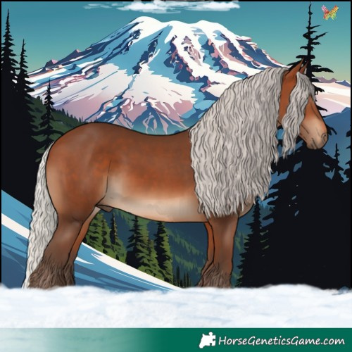 Horse Color:Silver Brown 