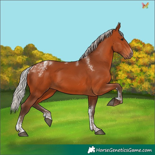 Horse Color:Powder White Silver Bay 