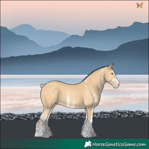 Horse Color:White Spotted Silver Classic Cream Champagne 