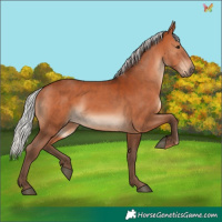 Horse Color:Silver Brown 
