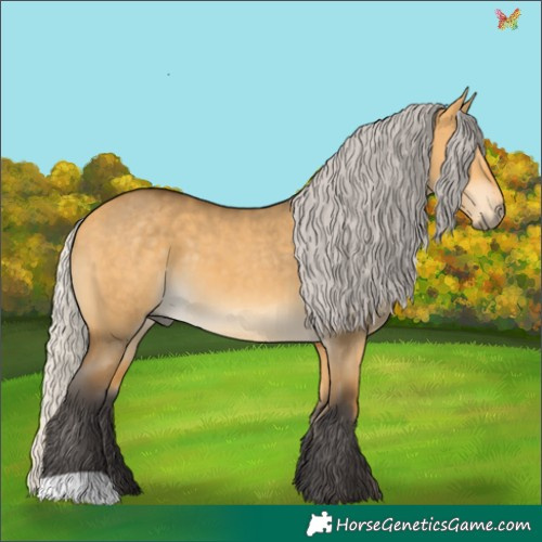 Horse Color:Silver Buckskin Dun 