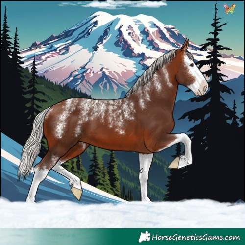 Horse Color:Powder White Silver Bay Splash 