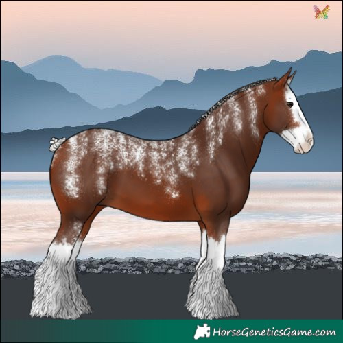 Horse Color:Powder White Silver Bay Splash 