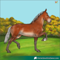 Horse Color:Silver Brown