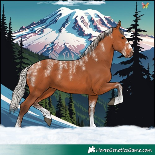 Horse Color:Powder White Silver Bay 