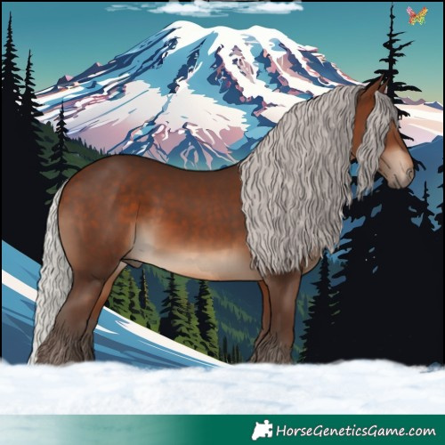 Horse Color:Silver Brown 