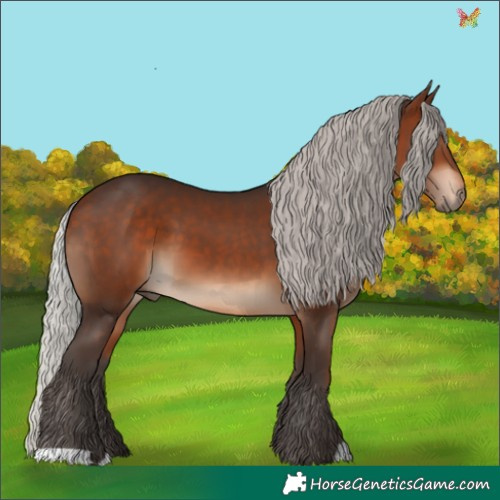 Horse Color:Silver Brown 