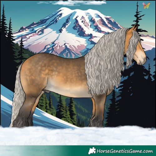 Horse Color:Silver Buckskin 