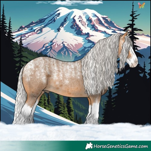 Horse Color:Powder White Silver Buckskin Roan Splash 