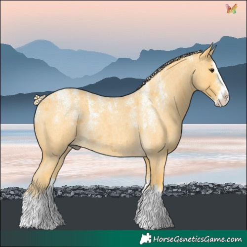 Horse Color:Powder White Palomino Roan Splash 