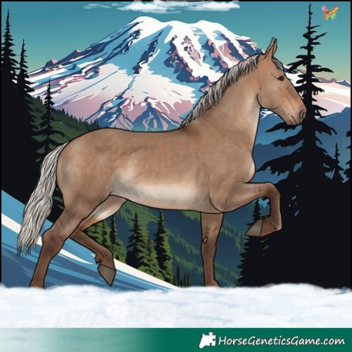 Horse Color:Silver Bay Dun 