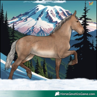 Horse Color:Silver Bay Dun 