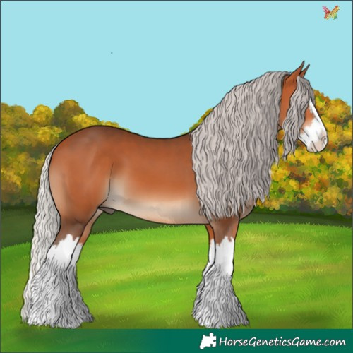 Horse Color:Silver Bay Splash 