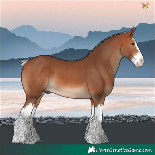 Horse Color:Silver Bay Splash 