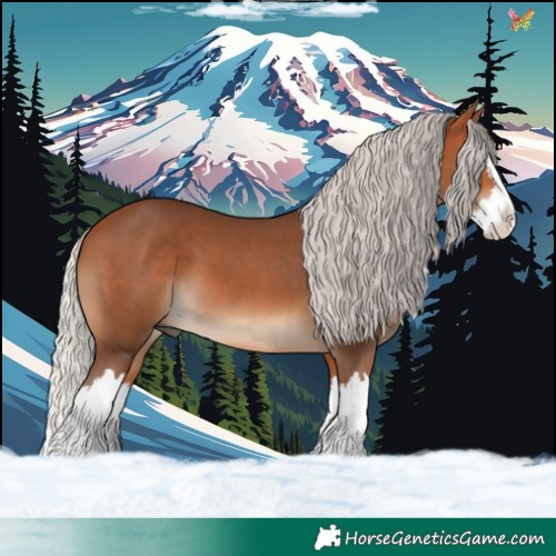Horse Color:Silver Bay Splash 