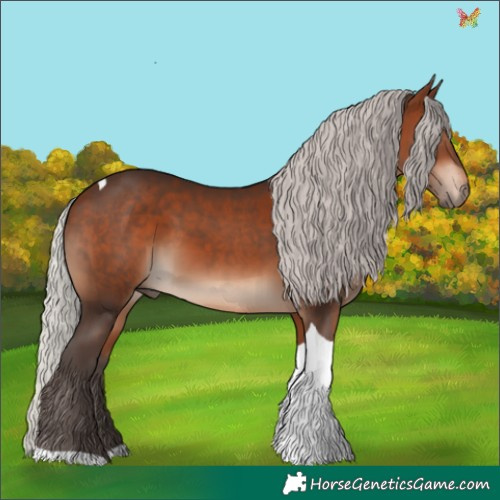 Horse Color:Silver Brown Tobiano 