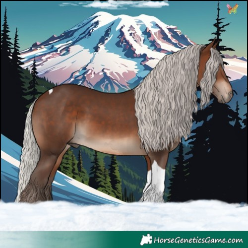 Horse Color:Silver Brown Tobiano 